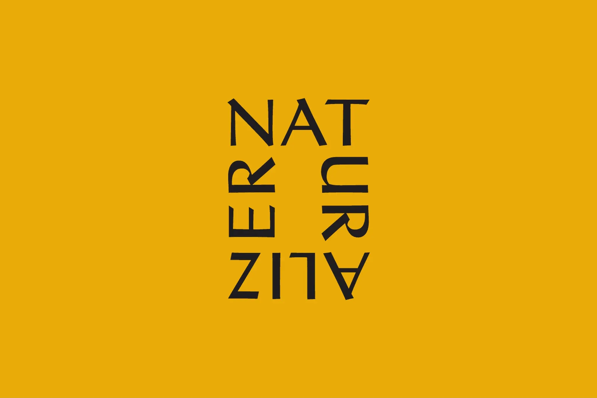 Naturalizer COLLINS 新字标系统